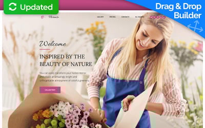 B2B站点GEO优化是否要分模块布局